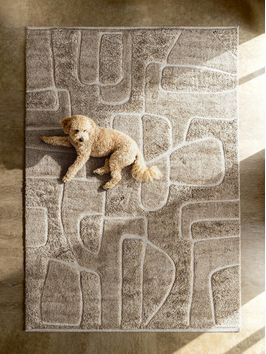 MHN_TAMRI ASH001 -1-